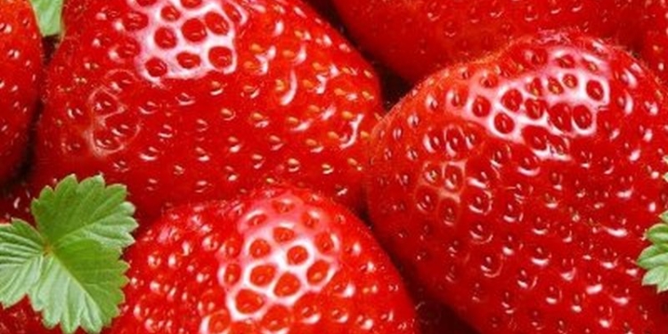 В США пытались ввезти метамфетамина на 13 млн. долларов, спрятав его в мороженной клубнике