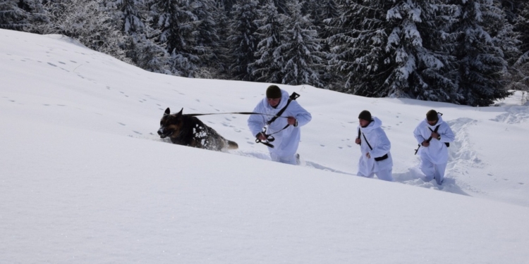 Пограничники возле границы с Румынией засекли караван с контрабандой. Контрабандисты сопротивлялись, двое ранены