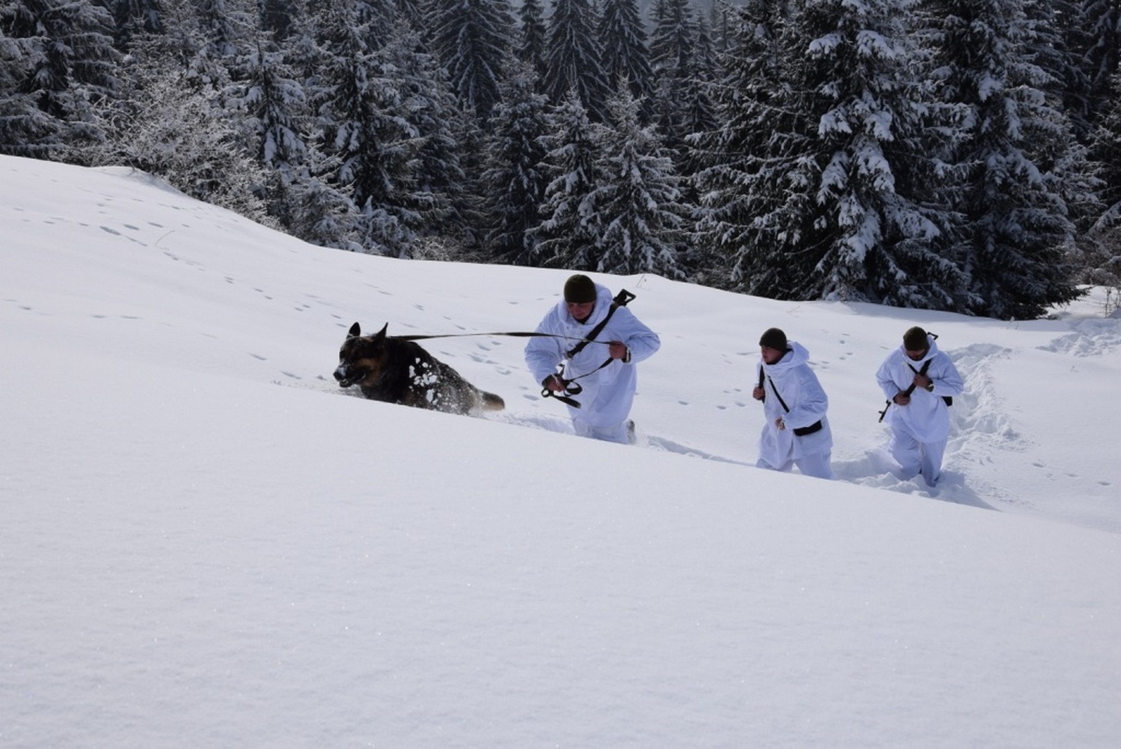 Пограничники возле границы с Румынией засекли караван с контрабандой. Контрабандисты сопротивлялись, двое ранены