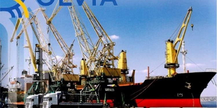 Общественники хотят, чтобы Николаевский горсовет обратился в Кабмин с просьбой передать порт «Ольвия» в концессию территориальной общине без конкурса