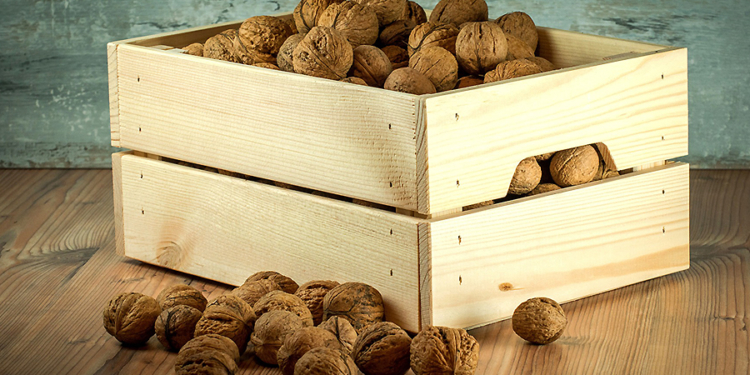 Учимся у соседей. Одесский “Орех Причерноморья” начинает выпуск орехового молока по китайской технологии