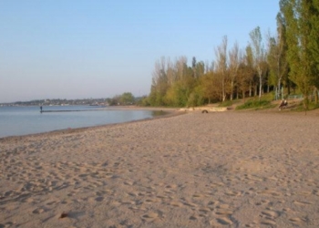 Департамент ЖКХ г. Николаева заплатил частной фирме за уборку “лишних” 2,7 га парка – прокуратура