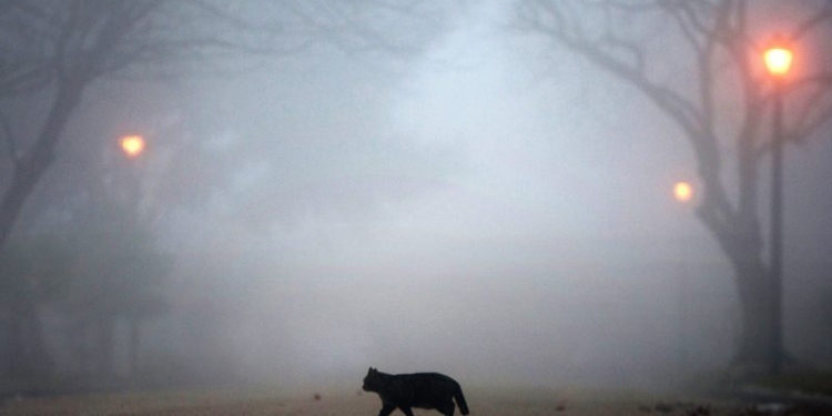 Завтра в Украине без существенных осадков, температура до +9