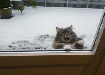 Завтра в Украине местами снег, температура до -5