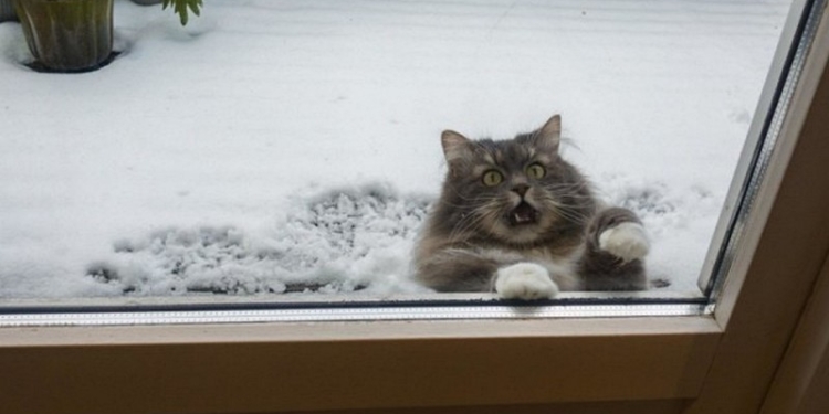 Завтра в Украине местами снег, температура до -5