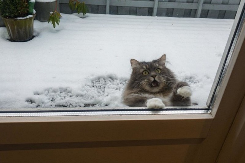 В ближайших два дня Николаевщине обещают первый снег 1