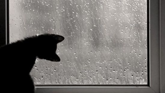 Завтра в Украине мокрый снег с дождем, температура до +7