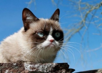 Завтра в Украине местами снег, температура до -5