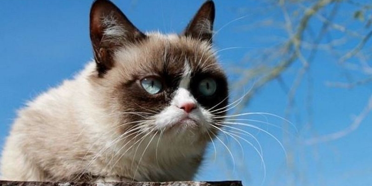 Завтра в Украине местами снег, температура до -5