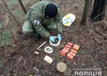 На Николаевщине в лесополосе нашли пакет с гранатой и тротилом
