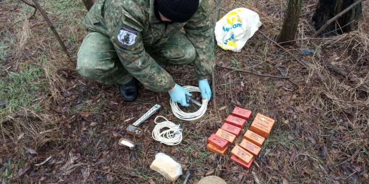 На Николаевщине в лесополосе нашли пакет с гранатой и тротилом