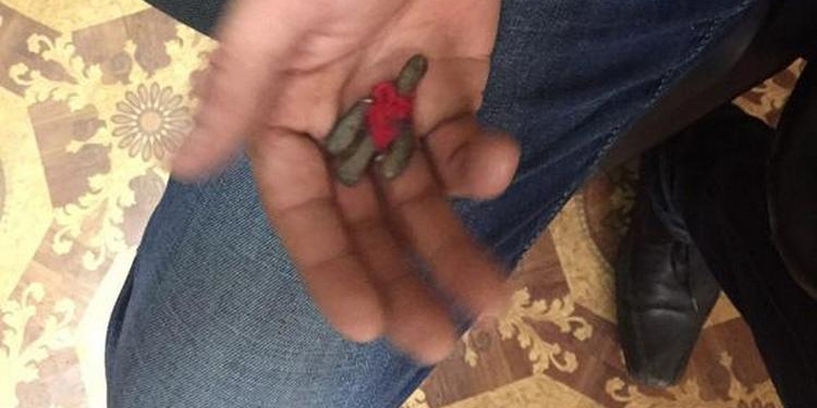 Житель Николаевщины, который часто жаловался на действия полиции и носил куклу вуду, прокусил руку участковому