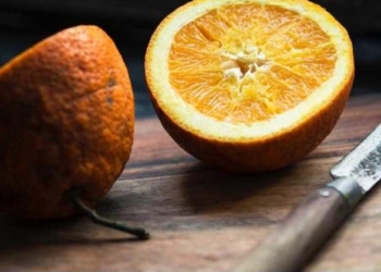 Мусорные пакеты из апельсинов? А шведские ученые придумали, как их делать