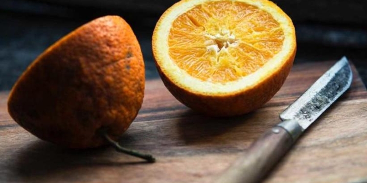 Мусорные пакеты из апельсинов? А шведские ученые придумали, как их делать