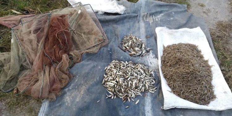 И креветка, и колюшка, и бычки: у Черноморки Николаевский рыбоохранный патруль поймал браконьера