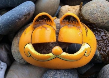 Тайна французского пляжа, где более 30 лет находят игрушечные телефоны в виде кота Гарфилда, раскрыта