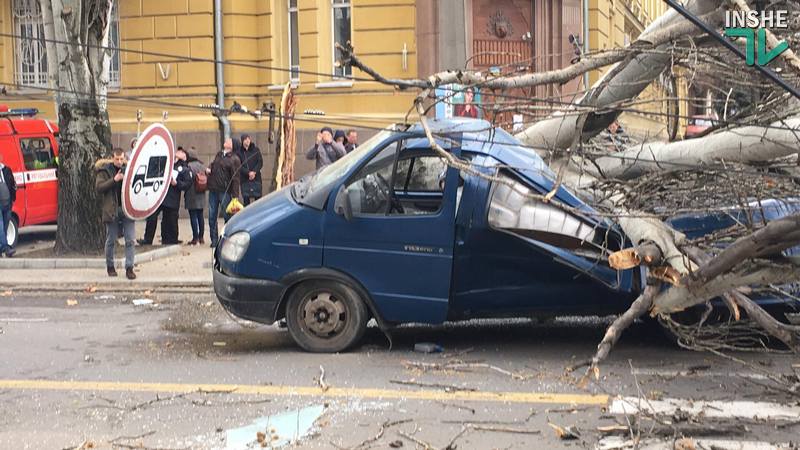 В Николаеве тополь рухнул прямо на проезжую часть – под ним оказалась машина 2