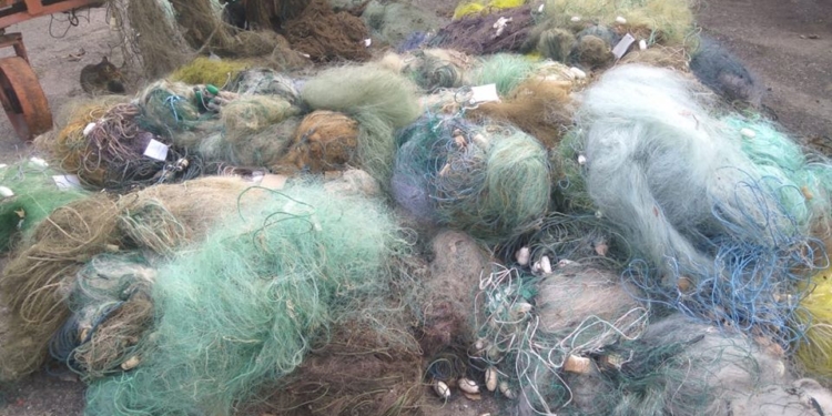 Николаевский рыбоохранный патруль уничтожил 238 запрещенных орудий лова