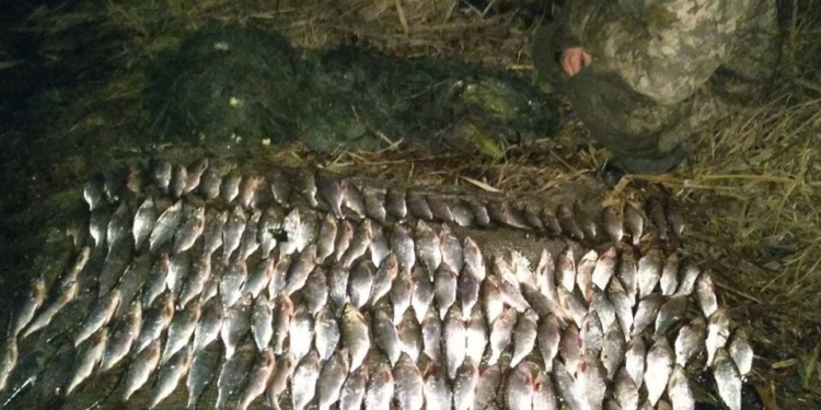 У Сапетни мужчина тремя сетями выловил 145 таранок – Николаевский рыбоохранный патруль отобрал у браконьера и «средства производства», и добытое