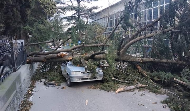 По Крыму пронесся ураган – масштабные отключения света и поваленные деревья