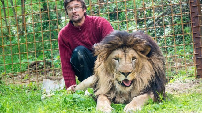 В Чехии мужчина решил разводить львов у себя в селе. Они его съели 1