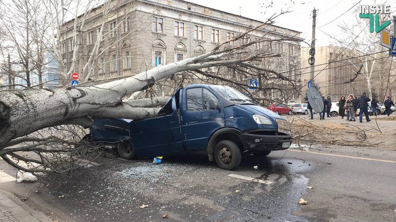Полиция открыла производство по рухнувшему в Николаеве на «ГАЗель» тополю по статье «Служебная халатность» 1