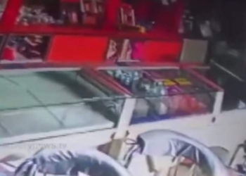 Крыса ограбила ювелирный магазин в Индии