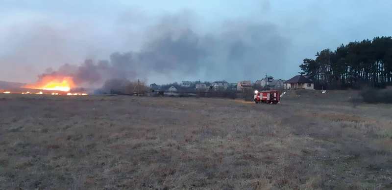 На Николаевщине за сутки выгорело почти 5 га сухостоя 3