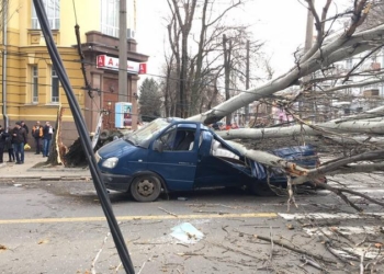 В Николаеве тополь рухнул прямо на проезжую часть – под ним оказалась машина