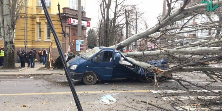 В Николаеве тополь рухнул прямо на проезжую часть – под ним оказалась машина