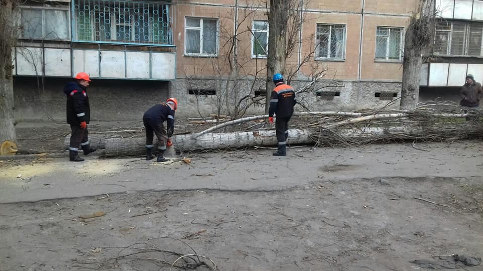 Тополепад в Николаеве: за вчерашний день спасатели убрали 5 деревьев 4