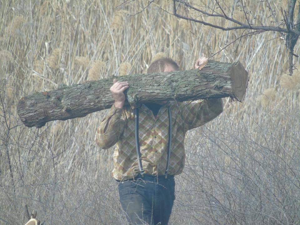 Когда даже депутат горсовета ничего не может сделать: в Николаеве безнаказанно пилят деревья на дрова 5