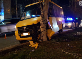 В Николаеве маршрутка врезалась в дерево – водителю стало плохо. Есть пострадавшие