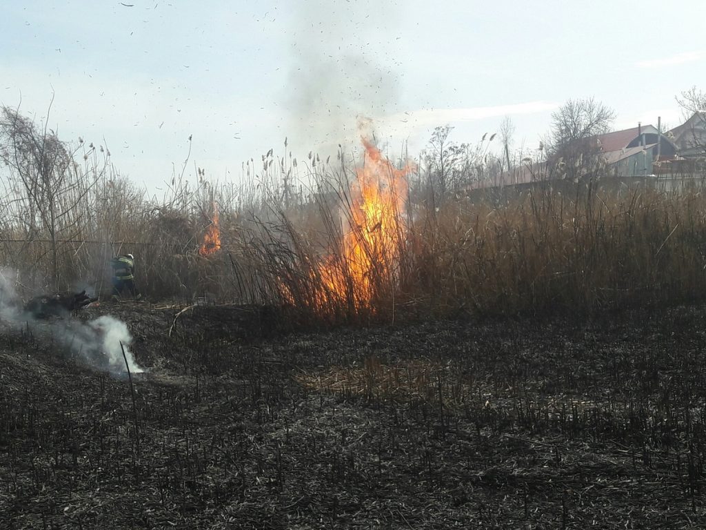 На Николаевщине спасатели нашли в горящем доме тело мужчины. Причины смерти выясняются 3
