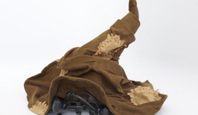 Американские ученые создали аналог волшебной шляпы из Хогвартса