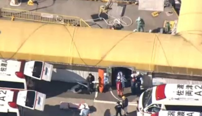 В Японии при столкновении катера с китом пострадали более 80 человек