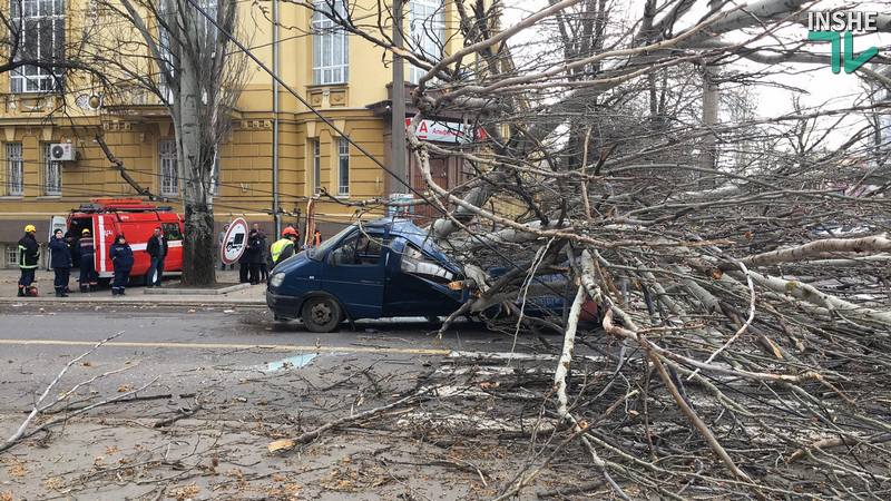 В Николаеве тополь рухнул прямо на проезжую часть – под ним оказалась машина 6