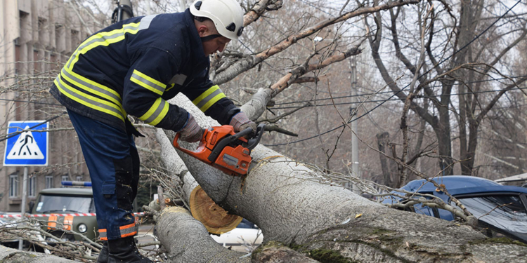 Тополепад в Николаеве: за вчерашний день спасатели убрали 5 деревьев