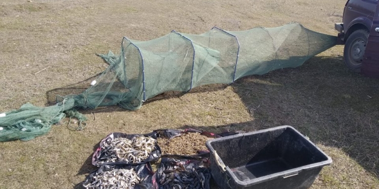 Очередной «улов» Николаевского рыбоохранного патруля: 2 браконьера и бесхозная сеть