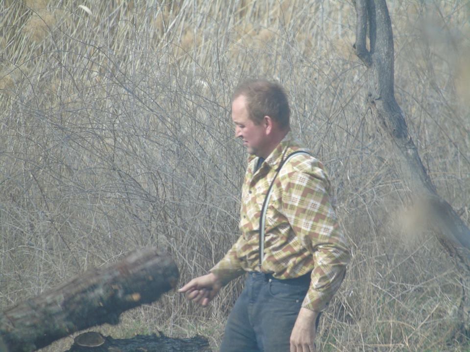 Когда даже депутат горсовета ничего не может сделать: в Николаеве безнаказанно пилят деревья на дрова 7