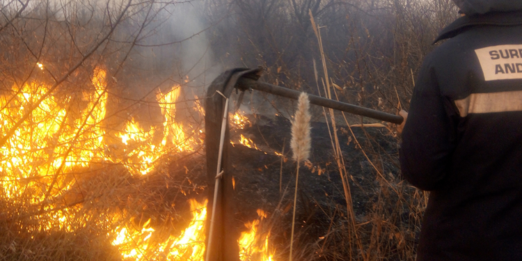 На Николаевщине камыши и сухостой горят каждый день – за вчера выгорело свыше 4 га