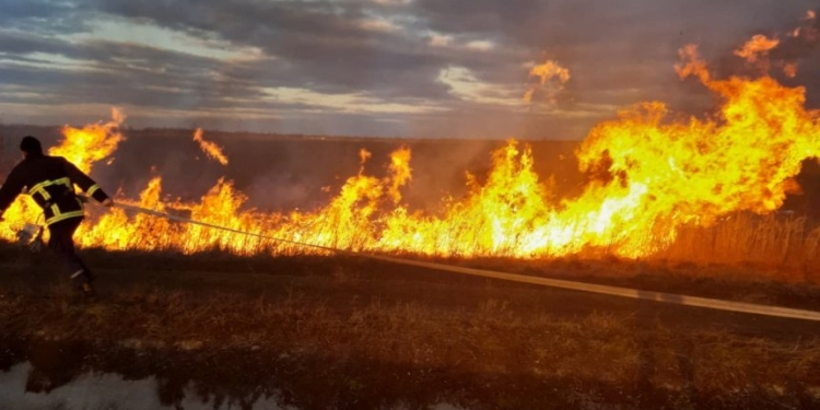 За прошедшие сутки на Николаевщине горели сухая трава и камыш на площади 6 га