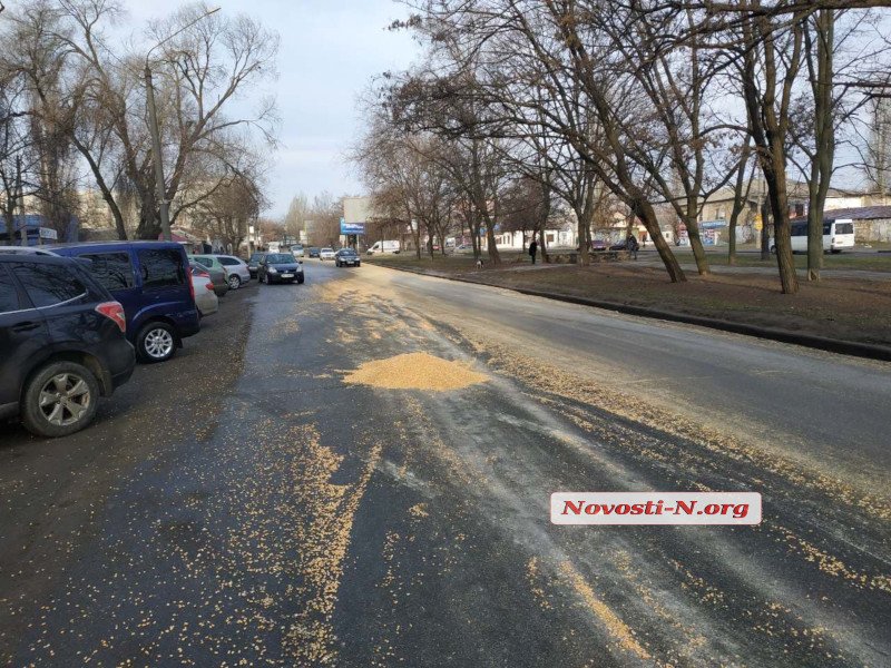 Водитель грузовика рассыпал более 10 тон кукурузы в Николаеве 6