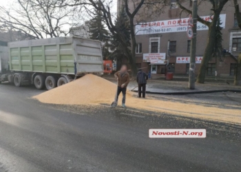 Водитель грузовика рассыпал более 10 тон кукурузы в Николаеве