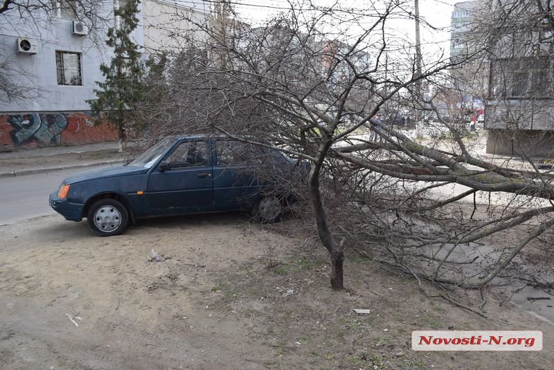 На Намыве в нескольких метрах от детской площадки на машину упало дерево 5