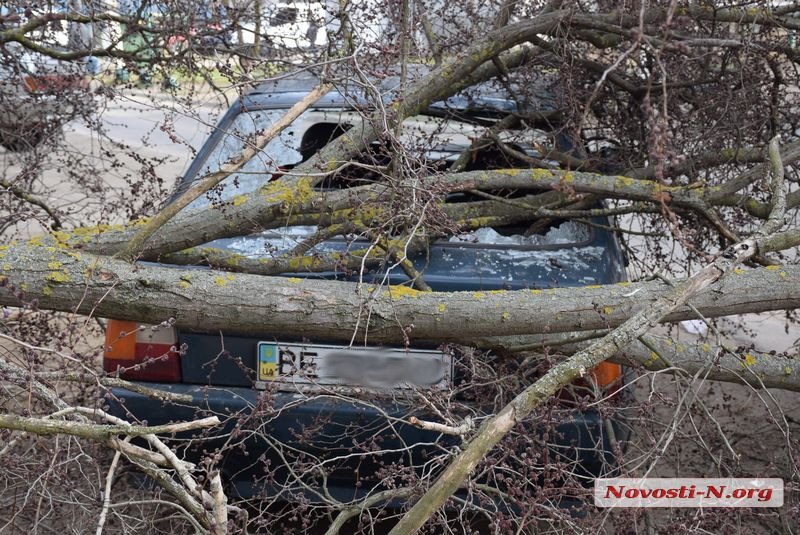 На Намыве в нескольких метрах от детской площадки на машину упало дерево 9