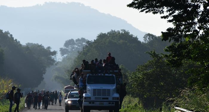 В Мексике грузовик с мигрантами упал в овраг, погибли 25 человек