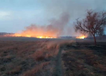 На Николаевщине за сутки выгорело почти 5 га сухостоя