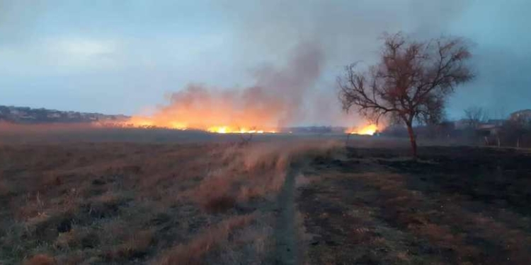 На Николаевщине за сутки выгорело почти 5 га сухостоя