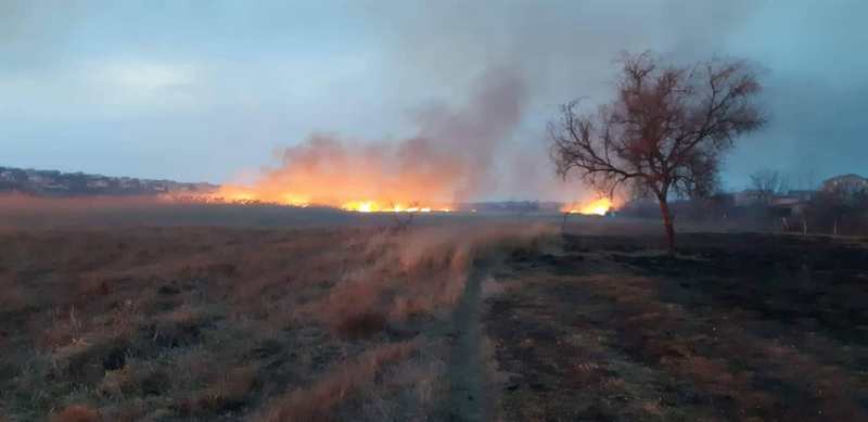 На Николаевщине за сутки выгорело почти 5 га сухостоя 9